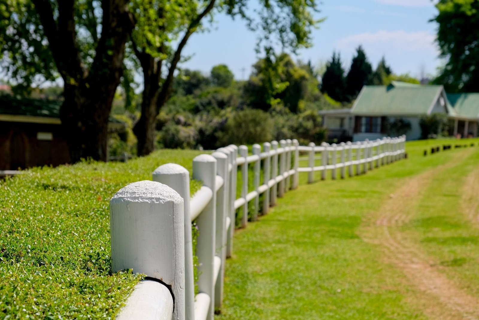 White vinyl picket style fencing along a grassy yard